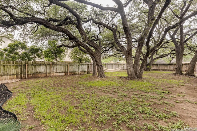 view of yard featuring a fenced backyard