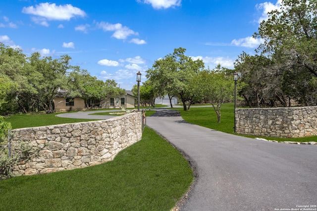 1397 Desert Gold, Boerne, TX 78006 - view of home's community featuring a yard