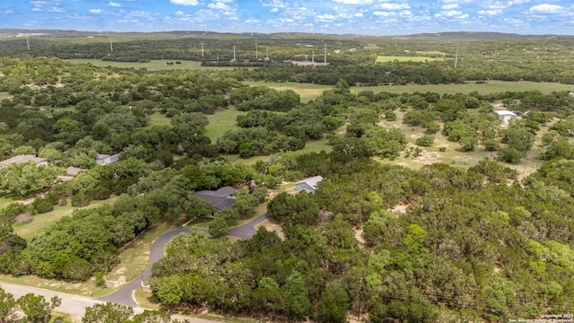 1397 Desert Gold, Boerne, TX 78006 - aerial overview of property's location
