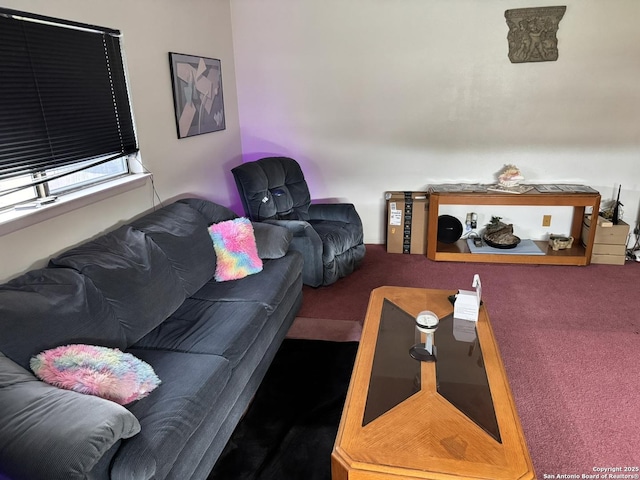 6603 Meadow Fawn, Converse, TX 78109 - living area with carpet