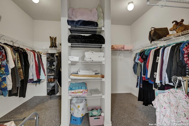 walk in closet featuring carpet floors