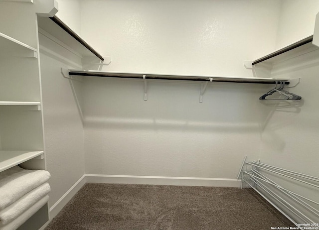 spacious closet with carpet flooring
