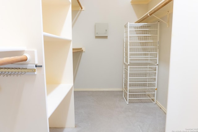 walk in closet with carpet