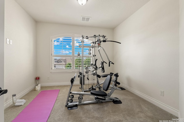 28546 Tristant Rdg, San Antonio, TX 78260 - exercise room featuring carpet floors, baseboards, and visible vents