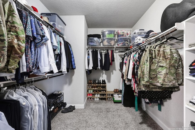 walk in closet featuring carpet flooring