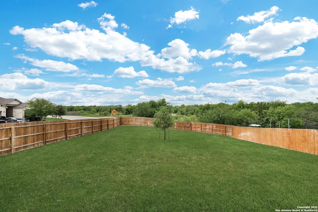 view of yard featuring a fenced backyard
