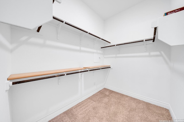 spacious closet with light colored carpet