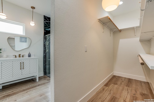 109 Hidden Hls, Floresville, TX 78114 - spacious closet featuring a sink and light wood finished floors