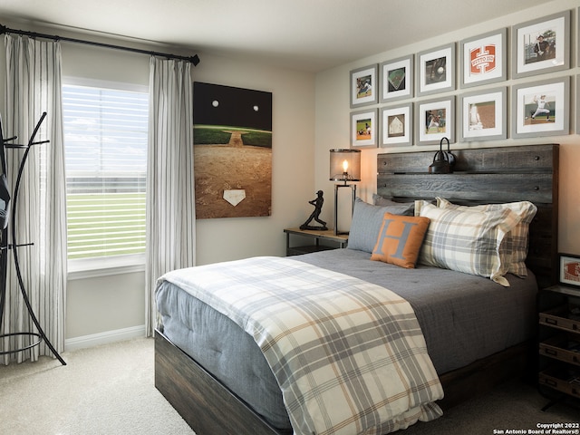 4539 Appaloosa Crst, San Antonio, TX 78245 - carpeted bedroom featuring baseboards