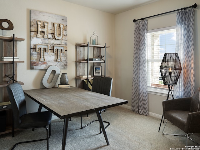 4539 Appaloosa Crst, San Antonio, TX 78245 - office with carpet and baseboards