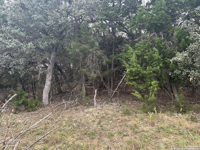 267 Tejas, Bandera, TX 78003