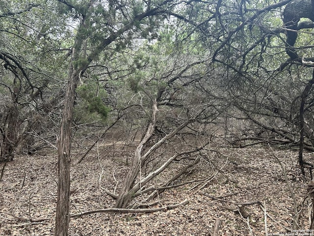 267 Tejas, Bandera, TX 78003