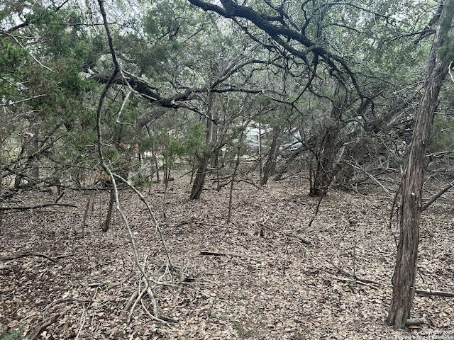 267 Tejas, Bandera, TX 78003