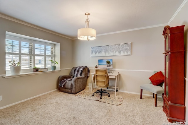 carpeted office with ornamental molding and baseboards