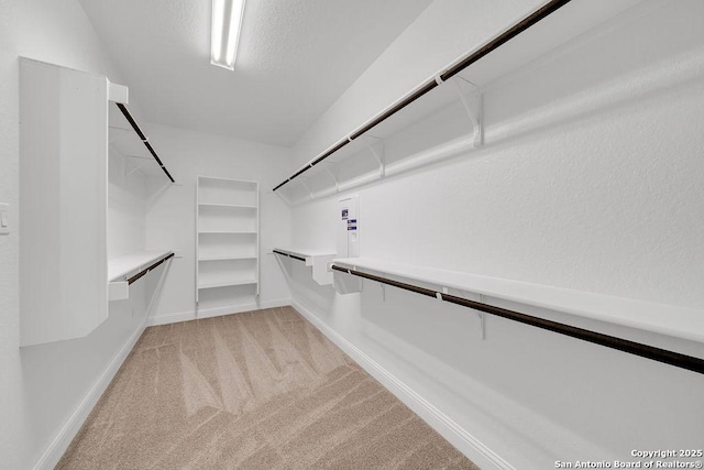 5303 Pinder Way, Schertz, TX 78108 - spacious closet with light colored carpet