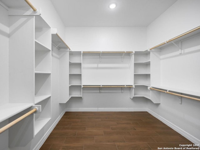 spacious closet featuring wood finished floors