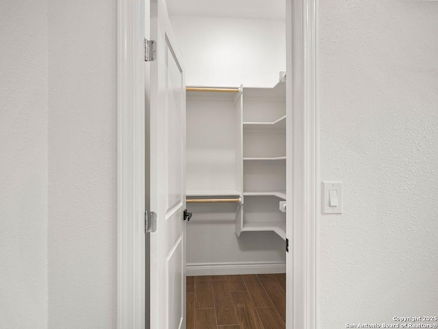 walk in closet featuring dark wood finished floors