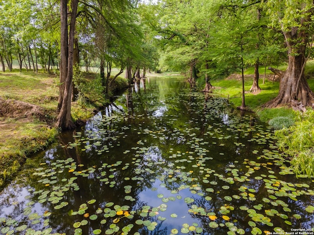 503 Lower Lacoste, Castroville, TX 78009 - view of landscape