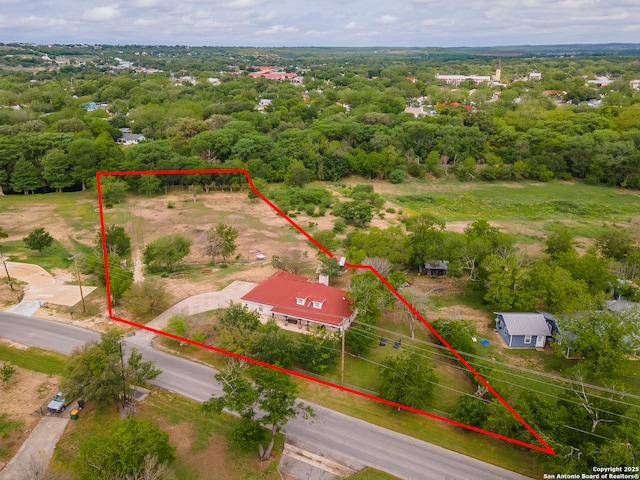 503 Lower Lacoste, Castroville, TX 78009 - bird's eye view