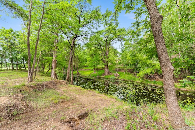 503 Lower Lacoste, Castroville, TX 78009 - view of yard