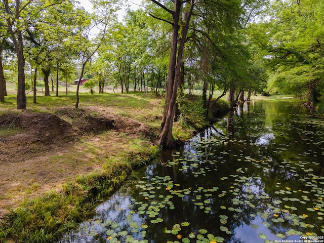 503 Lower Lacoste, Castroville, TX 78009 - view of nature