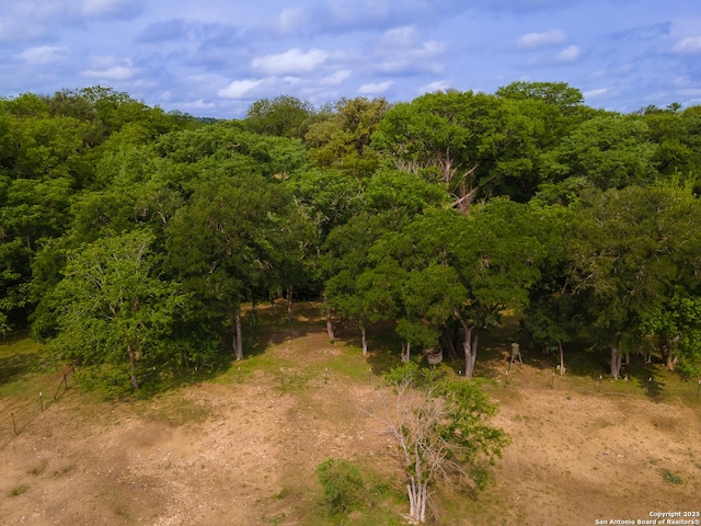 503 Lower Lacoste, Castroville, TX 78009 - view of landscape featuring a wooded view