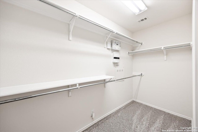 spacious closet with carpet and visible vents