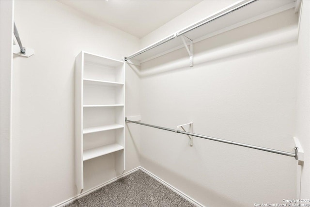 walk in closet featuring carpet flooring