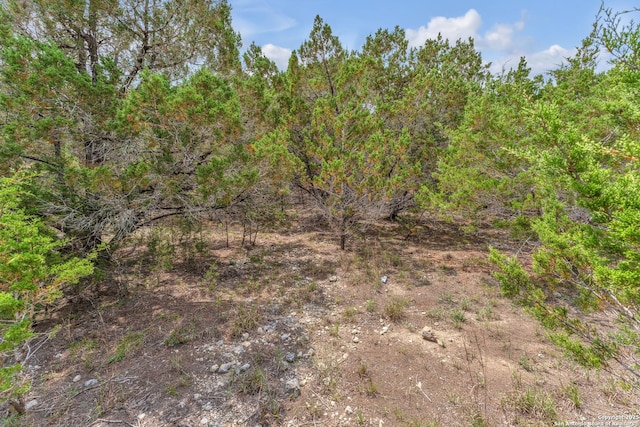1868 Owl, Canyon Lake, TX 78133