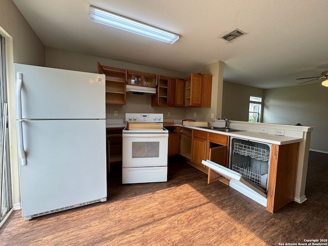 kitchen with under cabinet range hood, white appliances, dark wood finished floors, a sink, and a peninsula