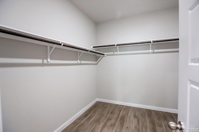 236/238 Joseph Cir, Cibolo, TX 78108 - walk in closet with wood finished floors