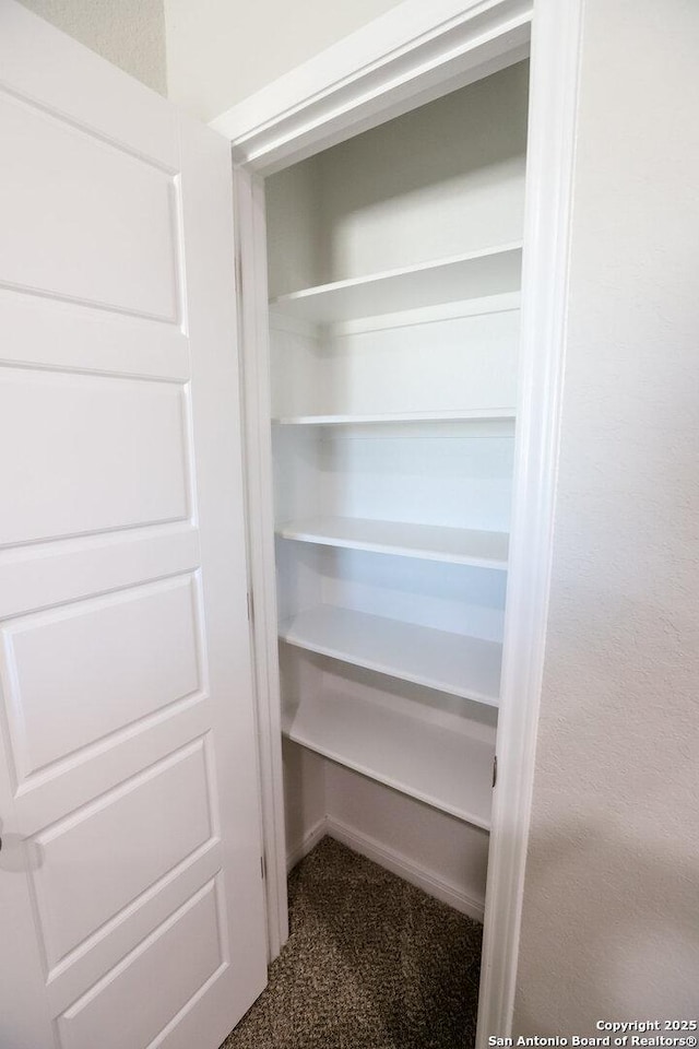 236/238 Joseph Cir, Cibolo, TX 78108 - view of closet