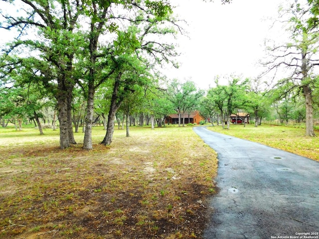 525 Cherry Rdg, Floresville, TX 78114 - surrounding community with a yard
