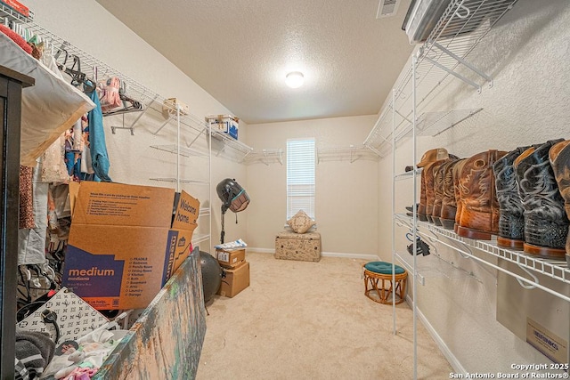 spacious closet featuring carpet