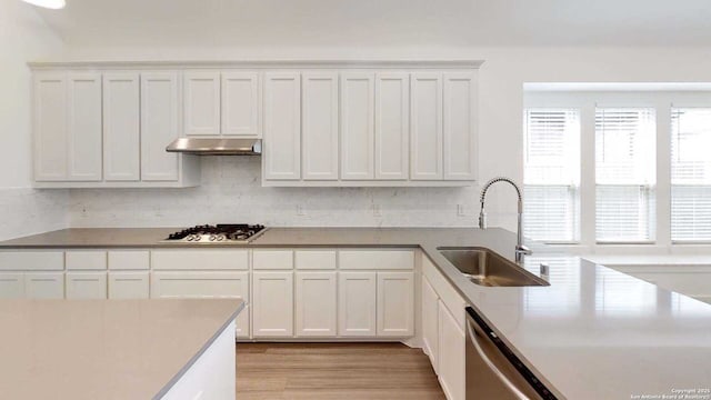 1818 Nettletree, New Braunfels, TX 78132 - kitchen with a sink, under cabinet range hood, appliances with stainless steel finishes, white cabinets, and light wood-type flooring