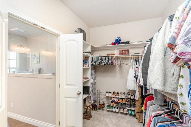 1345 Birch Ln, Fischer, TX 78623 - view of spacious closet