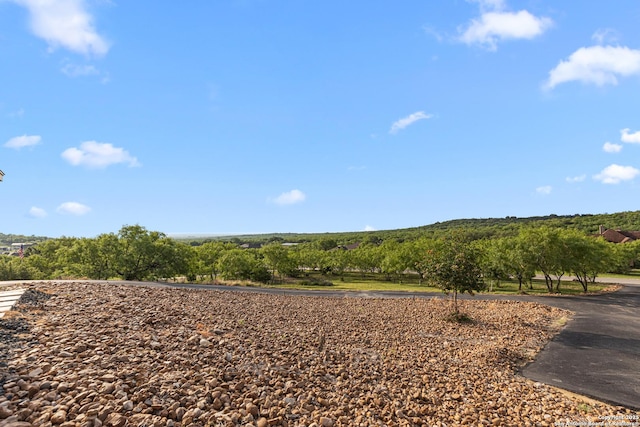 397 County Road 367, Hondo, TX 78861 - view of local wilderness