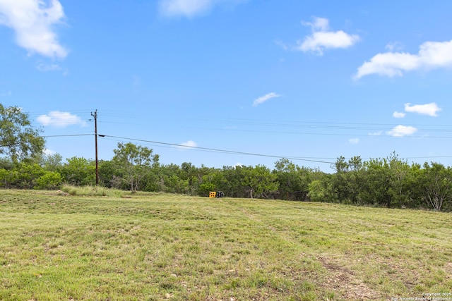 397 County Road 367, Hondo, TX 78861 - view of green lawn