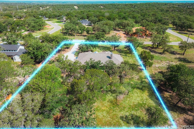 LOT52 Hondo Vis, La Vernia, TX 78121 - aerial view of property's location featuring a forest and property boundaries highlighted