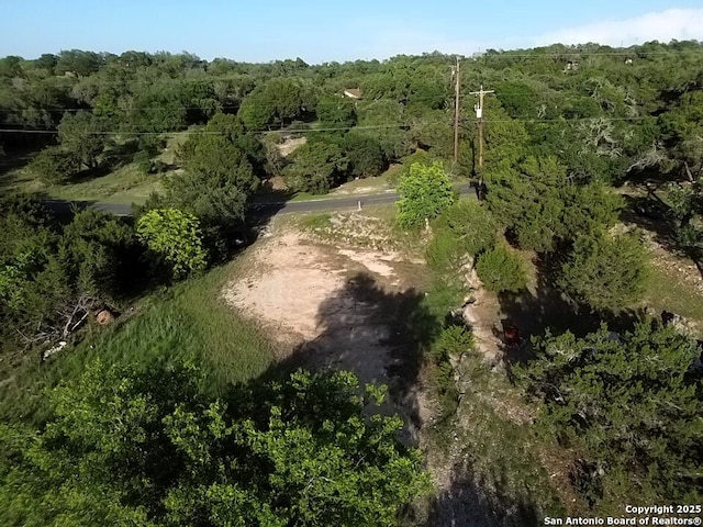 31347 Wildcat Dr, Bulverde, TX 78163