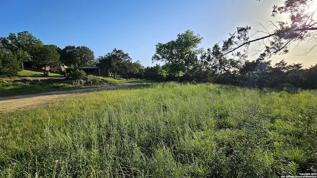 31347 Wildcat Dr, Bulverde, TX 78163