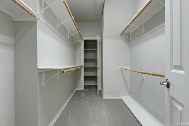 27 Sherborne Wood, San Antonio, TX 78218 - walk in closet with carpet