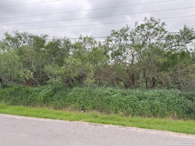 2008 Lopez Gutierrez, Donna, TX 78537
