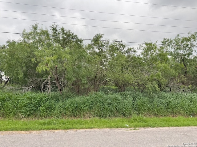 2008 Lopez Gutierrez, Donna, TX 78537