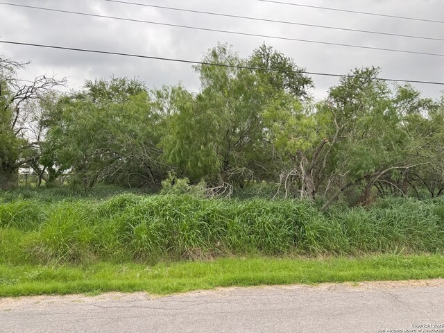 2008 Lopez Gutierrez, Donna, TX 78537
