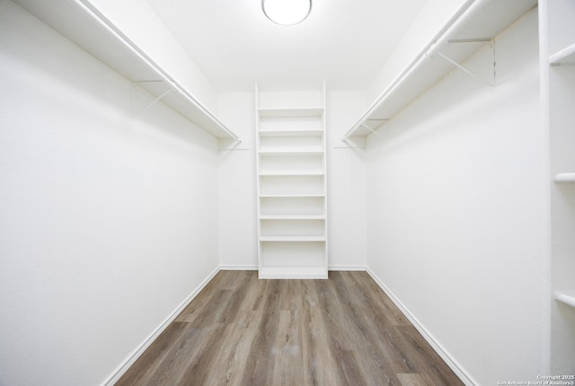 15031 Geronimo, San Antonio, TX 78254 - walk in closet with wood finished floors
