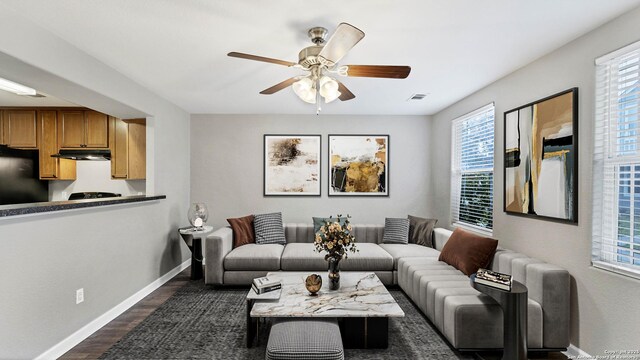 220 Trestle Tree Unit 112, San Marcos, TX 78666 - living area with baseboards, plenty of natural light, dark wood finished floors, and ceiling fan