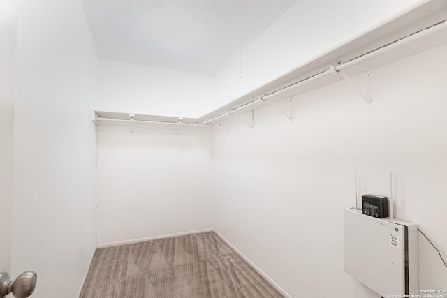 walk in closet with light colored carpet