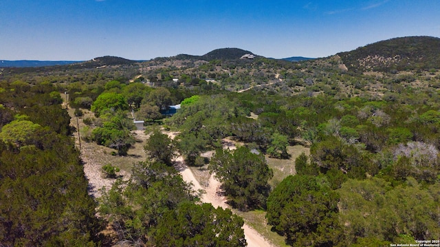 view of property location featuring a mountain backdrop and a heavily wooded area
