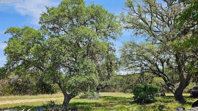 view of undeveloped land